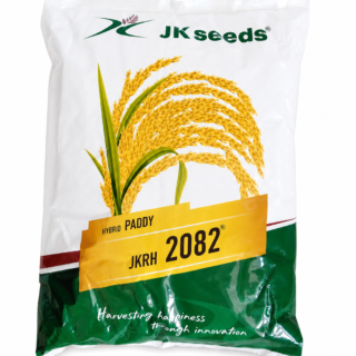 JKRH 2082 Hybrid Paddy Seeds - kisanjeevan JK SEEDS