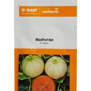 Madhuraja Muskmelon Seeds - F1 Hybrid | Nunhems-Kisanjeevan