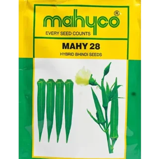 Mahy 28 Bhendi Seeds - Early maturity, High Yield, YVMV Tolerant Okra -Kisanjeevan