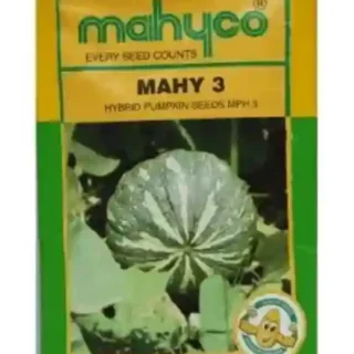 MAHY 3 PUMPKIN