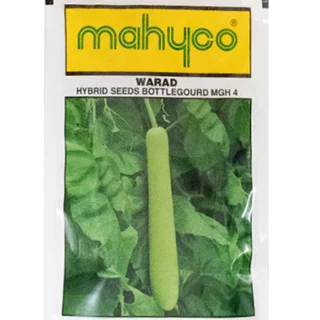 Mahy MGH-4 Warad Bottlegourd Seeds – High Yield with Long Shelf Life -Kisanjeevan