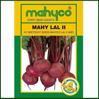 MAHY LAL-II BEETROOT -Kisanjeevan