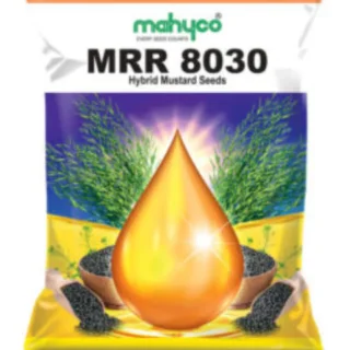 MAHYCO MRR 8030 -Kisanjeevan