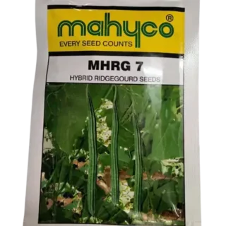 MHRG 7 HYBRID RIDGE GOURD SEEDS -Kisanjeevan