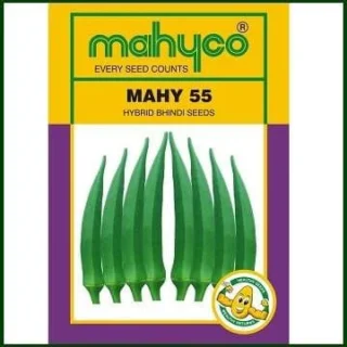 MAHY 55 OKRA ( माहिको नंबर 55 भिंडी ) -Kisanjeevan
