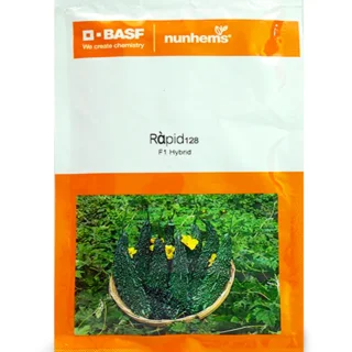 Nunhems Rapid 128 F1 Hybrid Bitter Guard SeedsNunhems Rapid 128 F1 Hybrid Bitter Guard Seeds