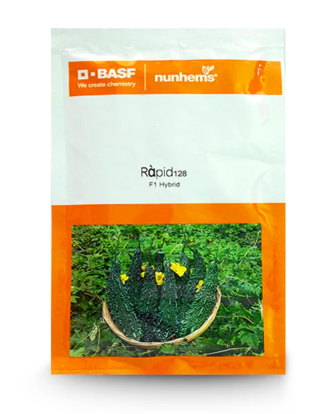 Nunhems Rapid 128 F1 Hybrid Bitter Guard SeedsNunhems Rapid 128 F1 Hybrid Bitter Guard Seeds
