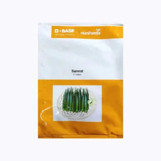 Nunhems Samrat F1 Hybrid Bhendi Seeds -Kisanjeevan