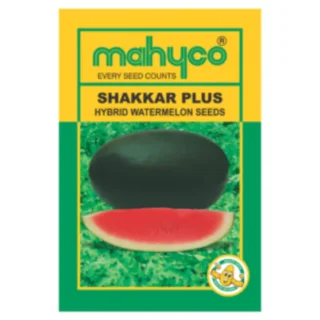 SHAKKAR PLUS Hy Watermelon -Kisanjeevan