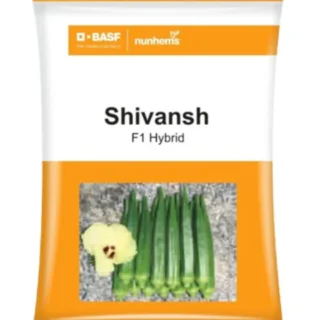 Shivansh Okra seeds -Kisanjeevan
