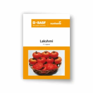 Nunhems Lakshmi Tomato Seeds – Red, Round Fruits for Kharif & Rabi -Kisanjeevan