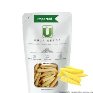URJA - BABY CORN-ORION SEEDS -Kisanjeevan