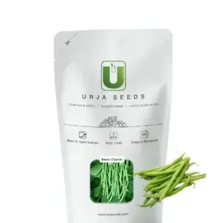 URJA BEANS CHANDA -Kisanjeevan
