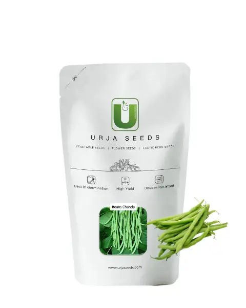 URJA BEANS CHANDA -Kisanjeevan