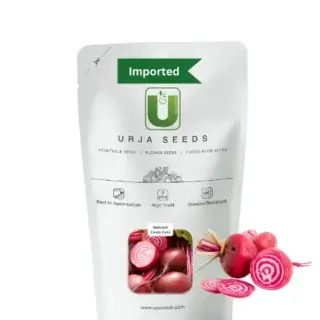 URJA BEET ROOT CANDY CANE (IMPORTED) -Kisanjeevan