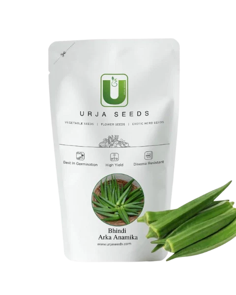 URJA BHINDI ARKA SEEDS -Kisanjeevan