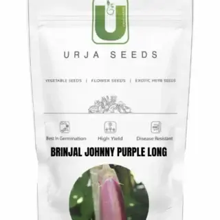 URJA BRINJAL F1 JOHNNY -Kisanjeevan