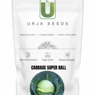 URJA CABBAGE F1 SUPERBALL -Kisanjeevan