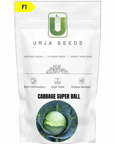 URJA CABBAGE F1 SUPERBALL -Kisanjeevan