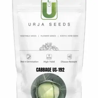 URJA CABBAGE F1 US-192 -Kisanjeevan