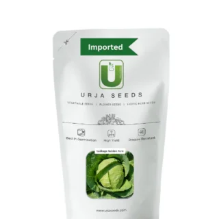 URJA CABBAGE GOLDEN ACRE (IMPORTED) -Kisanjeevan