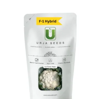 URJA CAULIFLOWER F-1 HYBRID MEGHA -Kisanjeevan