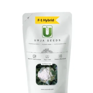 URJA CAULIFLOWER F-1 HYBRID SONIC -Kisanjeevan