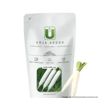 URJA CHETKI LONG RADISH SEEDS -Kisanjeevan