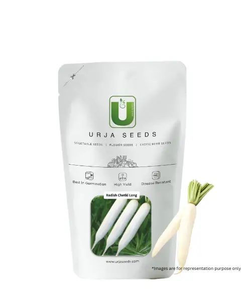 URJA CHETKI LONG RADISH SEEDS -Kisanjeevan
