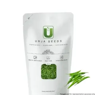 URJA CHILLI G4-kisanjeevan