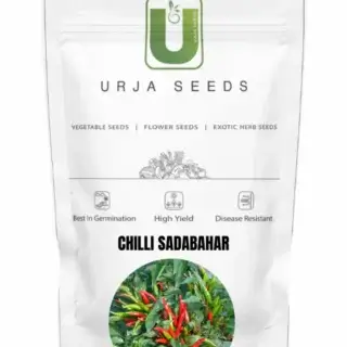 URJA CHILLI SADABHAR -Kisanjeevan