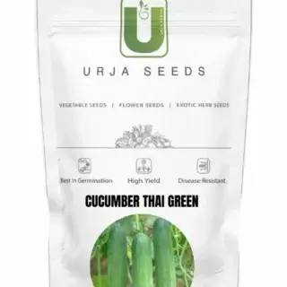 URJA CUCUMBER F1 THAI GREEN -Kisanjeevan