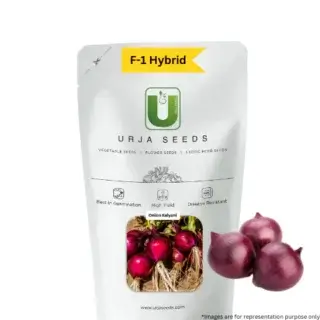 urja kalyani onion seeds