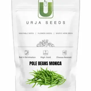 URJA POLE BEANS MONIKA -Kisanjeevan