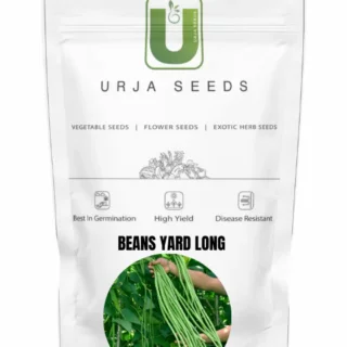 URJA POLE BEANS YARD LONG -Kisanjeevan