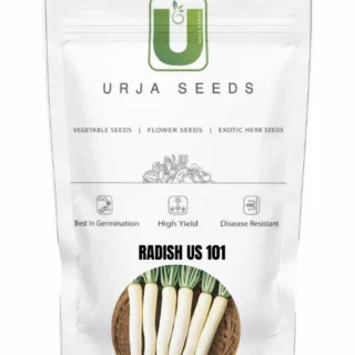 URJA RADISH US-101 (IMP) -Kisanjeevan