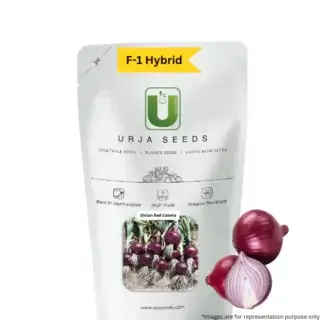 URJA RED COSMO ONION SEEDS -Kisanjeevan
