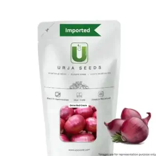 URJA RED CREOLE (IMP) ONION SEEDS -Kisanjeevan