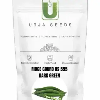 URJA RIDGE GOURD F1 US 595 -Kisanjeevan