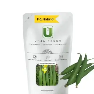 URJA SPONGE GOURD F-1 HYBRID DARK GREEN (US - 291) -Kisanjeevan