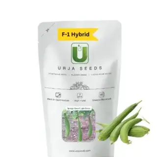 URJA SPONGE GOURD F-1 HYBRID LIGHT GREEN (US-301)-Kisanjeevan
