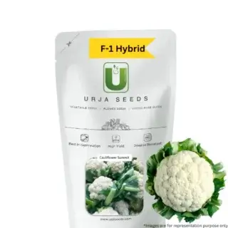 URJA SUMMIT - CAULIFLOWER F-1 HYBRID SEEDS -Kisanjeevan
