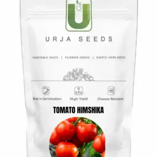 URJA TOMATO F1 HIMSHIKHA -Kisanjeevan