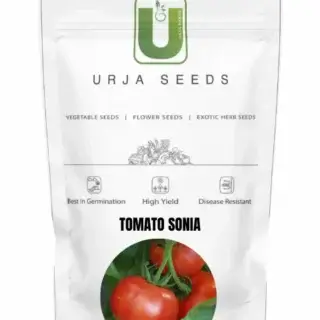 URJA TOMATO F1 SONIA -Kisanjeevan
