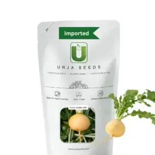 URJA TURNIP GOLDEN BALL (IMPORTED)-Kisanjeevan