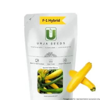 URJA YELLOW HYBRID - ZUCCHINI F-1 HYBRID SEEDS -Kisanjeevan