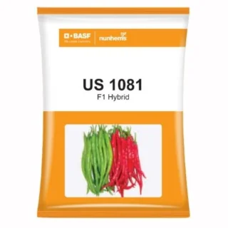 US 1081 Chilli Seeds - Dual Purpose, Wrinkled Red, Mild Heat-Kisanjeevan