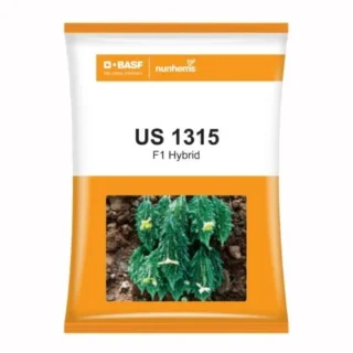 US 1315 Bitter Gourd Seeds - F1 Hybrid Seeds -Kisanjeevan