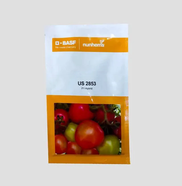 Nunhems US 2853 F1 Hybrid Tomato Seeds -Kisanjeevan