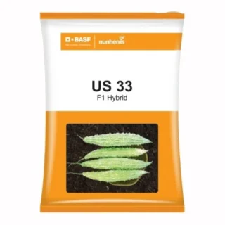 US 33 Bitter Gourd Seeds - White, Strong Vines, High Yield-Kisanjeevan